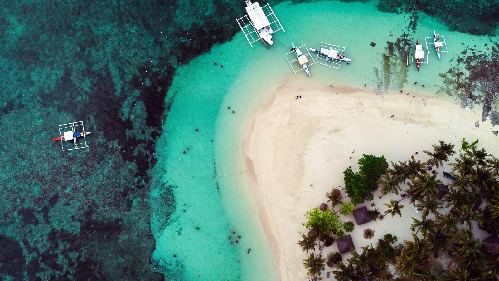 Aerial view of outrigger boats moored off the white-sand beach and palm grove of Guyam Island, Siargao