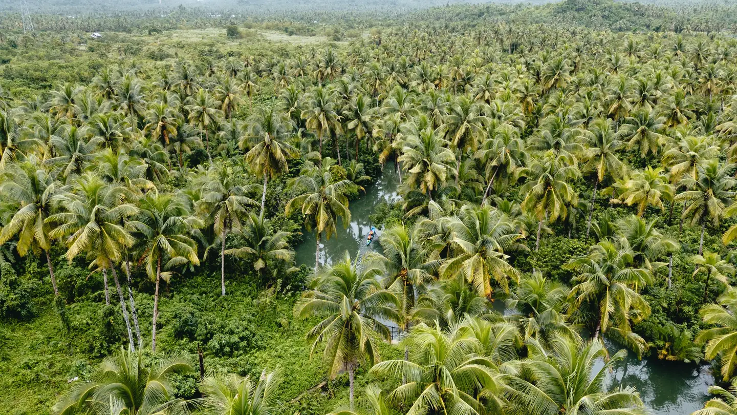 Photo: Lukas Faust (Pexels License) Aerial view of a river winding through dense coconut palm forest at Dapa, Siargao Island, with a small boat on the water
