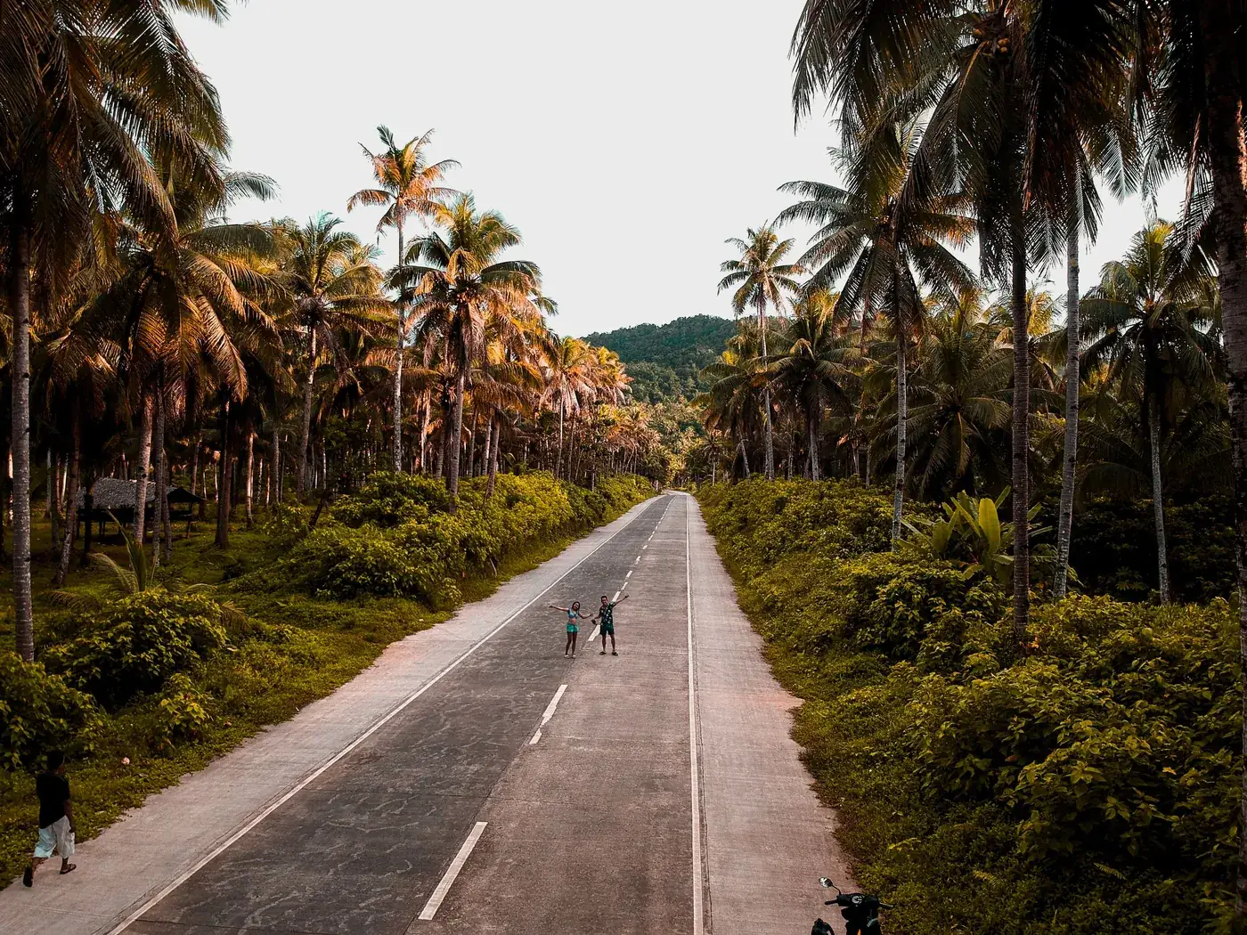 Photo: AlexusDave De los Santos (Pexels License) Aerial view of a palm-lined road at Dapa on Siargao Island, Caraga