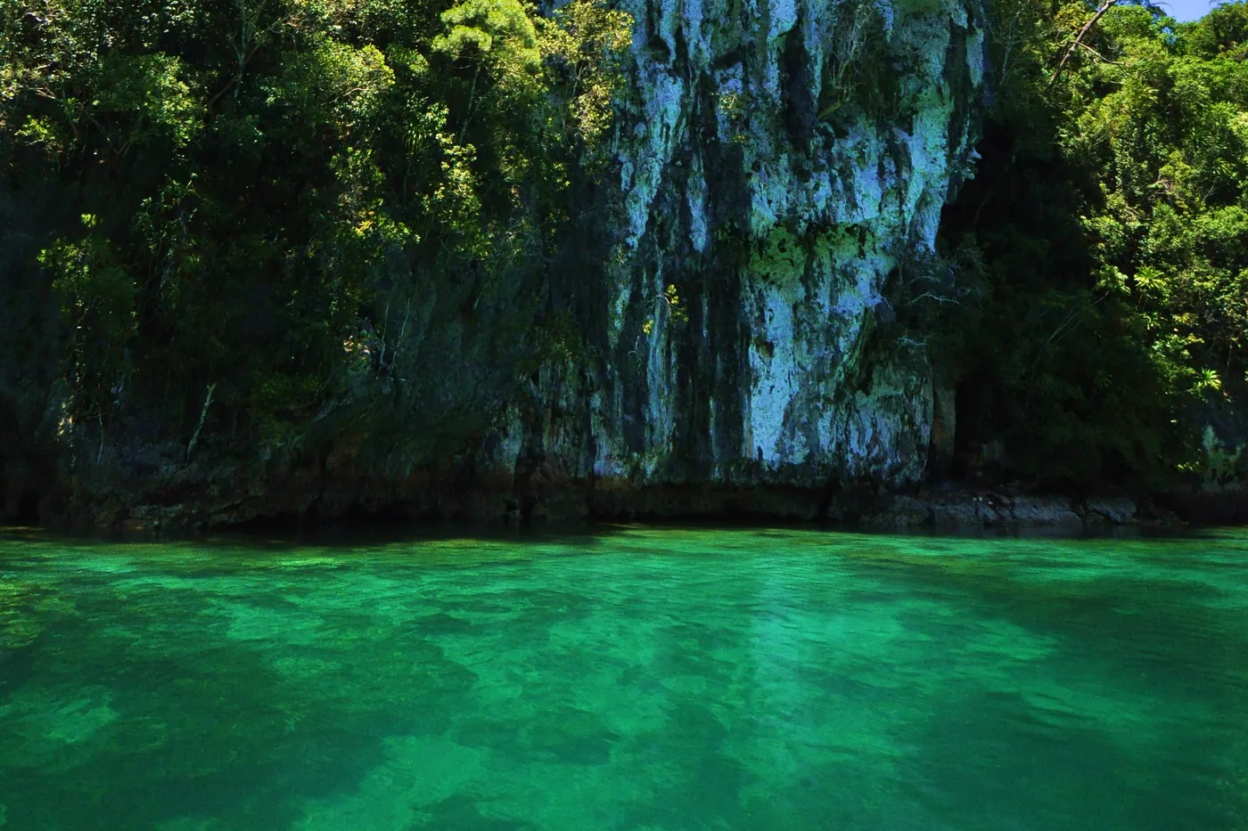 Photo: AGUSTIN MENDEZ, Tubod Founding Hero (CC BY-SA 4.0) A jungle-topped limestone cliff rising straight out of clear green water at Sohoton, in Socorro on Bucas Grande Island