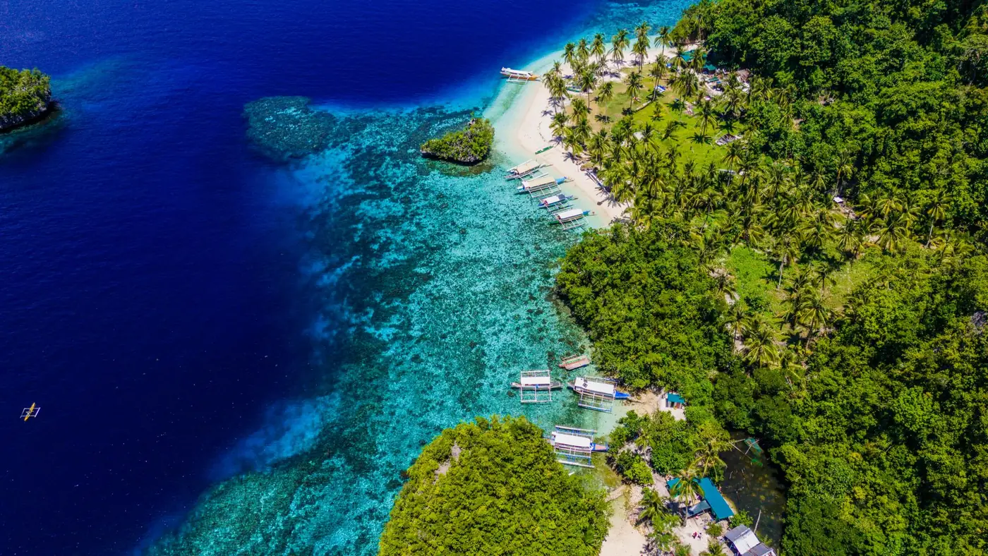 Aerial view of a turquoise bay meeting a densely forested shoreline in Caraga, Philippines