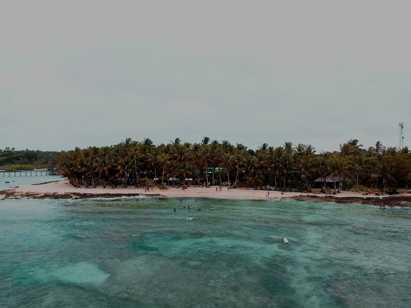 Photo: AlexusDave De los Santos (Pexels License) Palm trees leaning over a sandy beachfront and shallow clear water at General Luna, Siargao